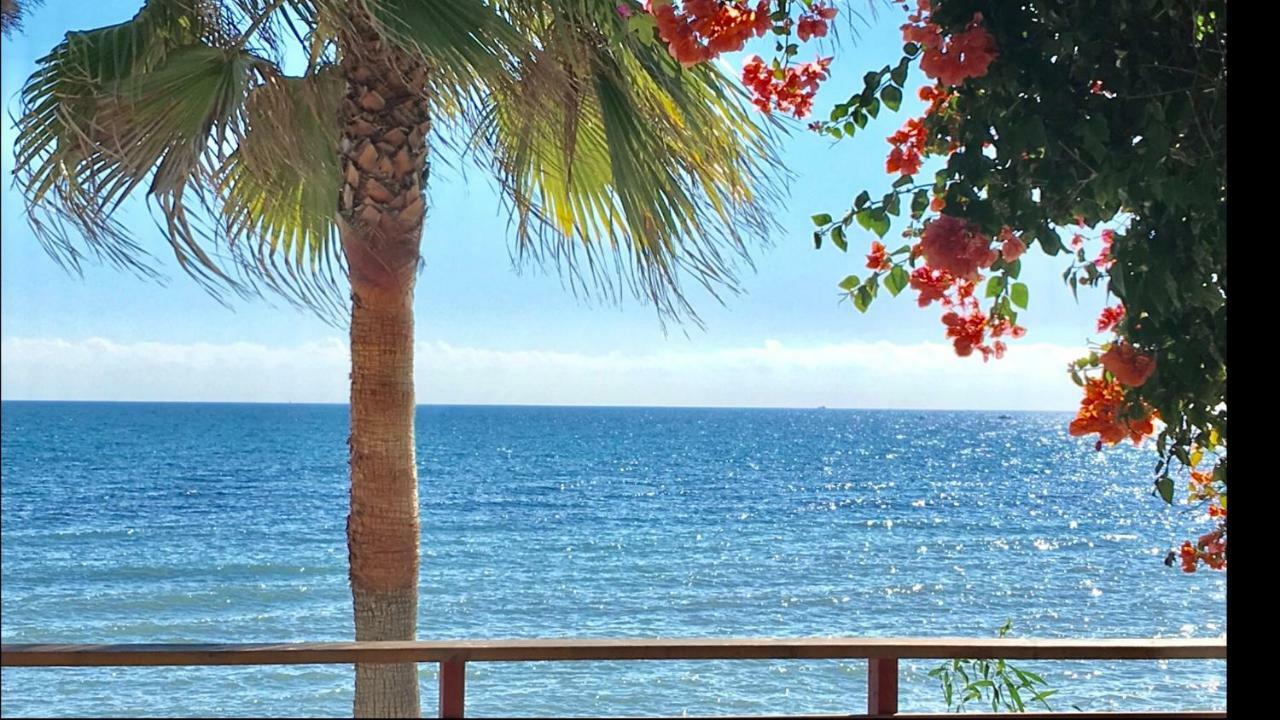 Mi Capricho 9A Beachfront- Apartment With Sea View - Costa Del Sol Sitio de Calahonda Екстериор снимка